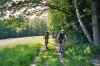 Burgtrail